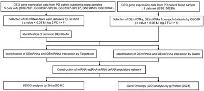 Integrative analysis of plasma and substantia nigra in Parkinson’s disease: unraveling biomarkers and insights from the lncRNA–miRNA–mRNA ceRNA network